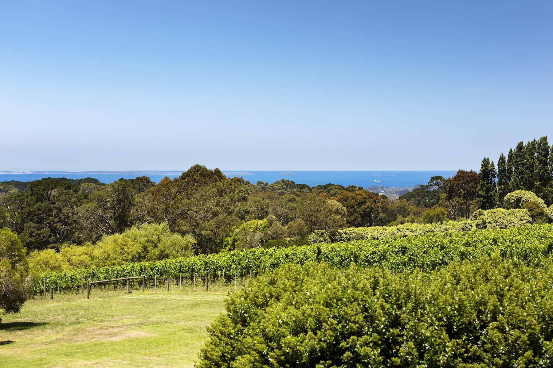 House Sold 57 Shoreham Road, Red Hill South