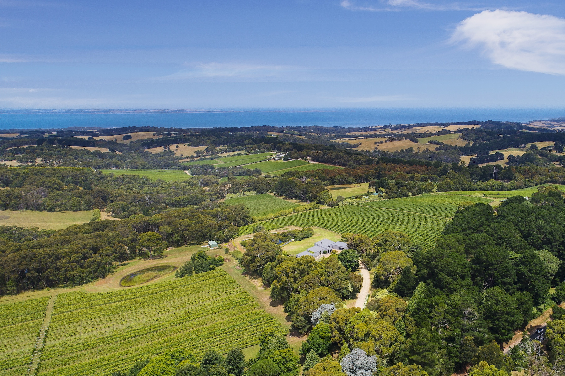 House Sold 57 Shoreham Road, Red Hill South