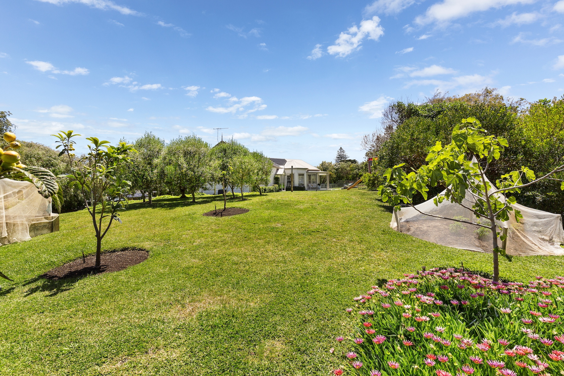 House Sold 31 Salonika Street, Sorrento