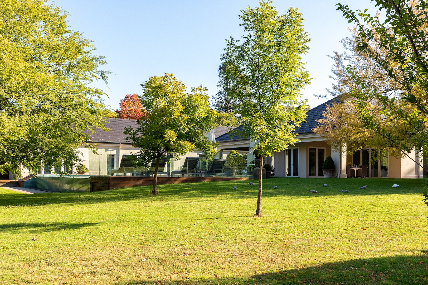 31-61 Bent Street, Macedon Sold by Melbourne Sotheby's International Realty - image 16