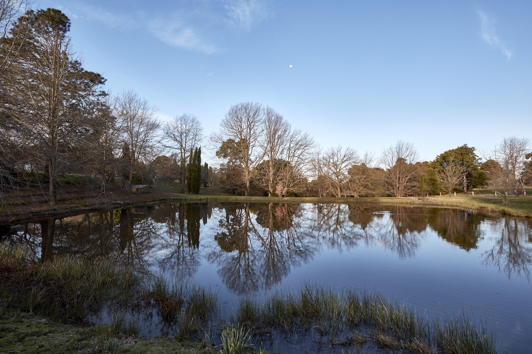 31-61 Bent Street, Macedon Sold by Melbourne Sotheby's International Realty - image 12