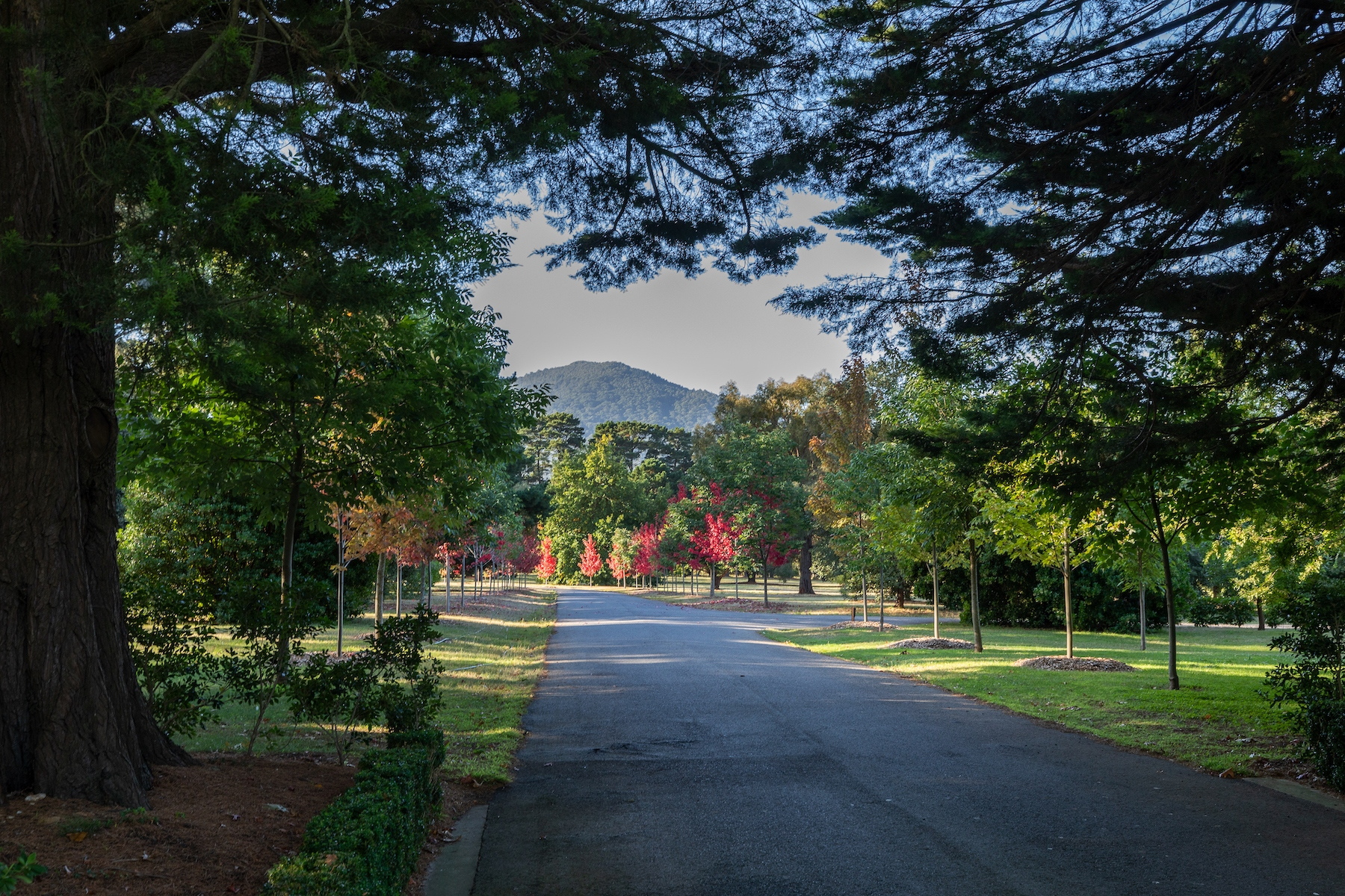 31-61 Bent Street, Macedon Sold by Melbourne Sotheby's International Realty - image 15