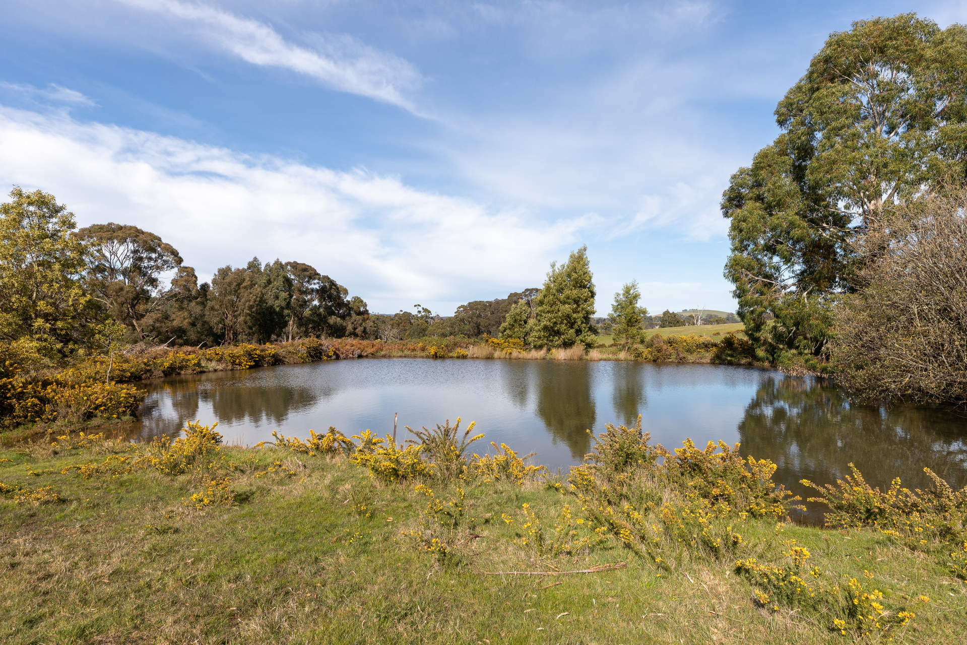 1090 Daylesford Malmsbury Road, Glenlyon Sold by Melbourne Sotheby's International Realty - image 3