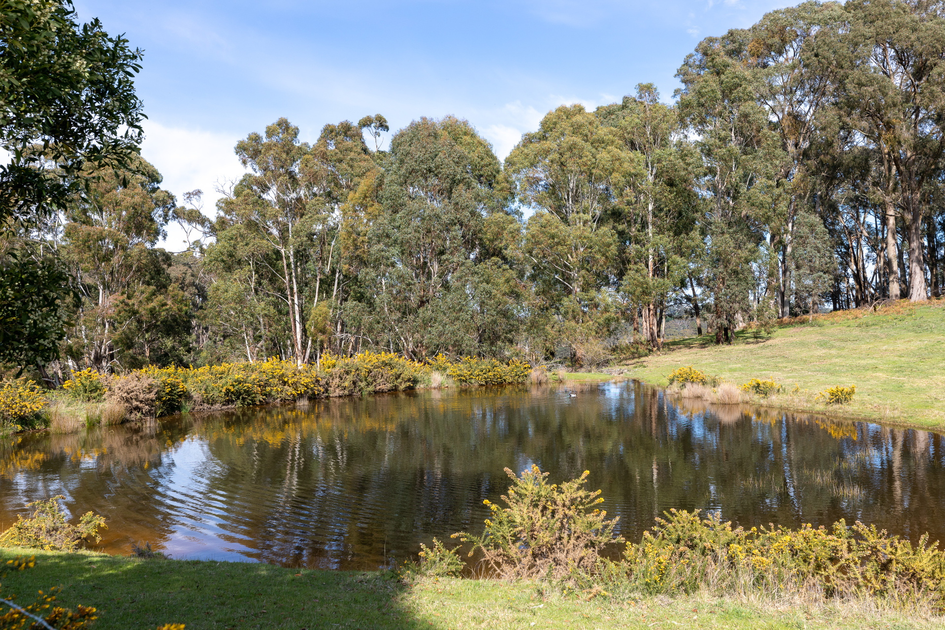 1090 Daylesford Malmsbury Road, Glenlyon Sold by Melbourne Sotheby's International Realty - image 12