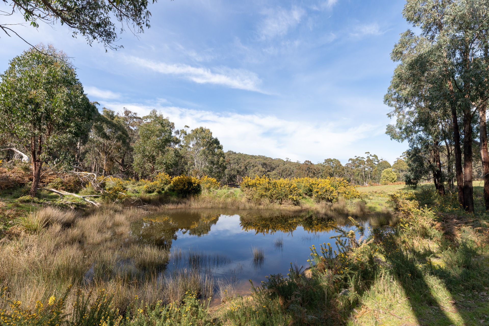 1090 Daylesford Malmsbury Road, Glenlyon Sold by Melbourne Sotheby's International Realty - image 11