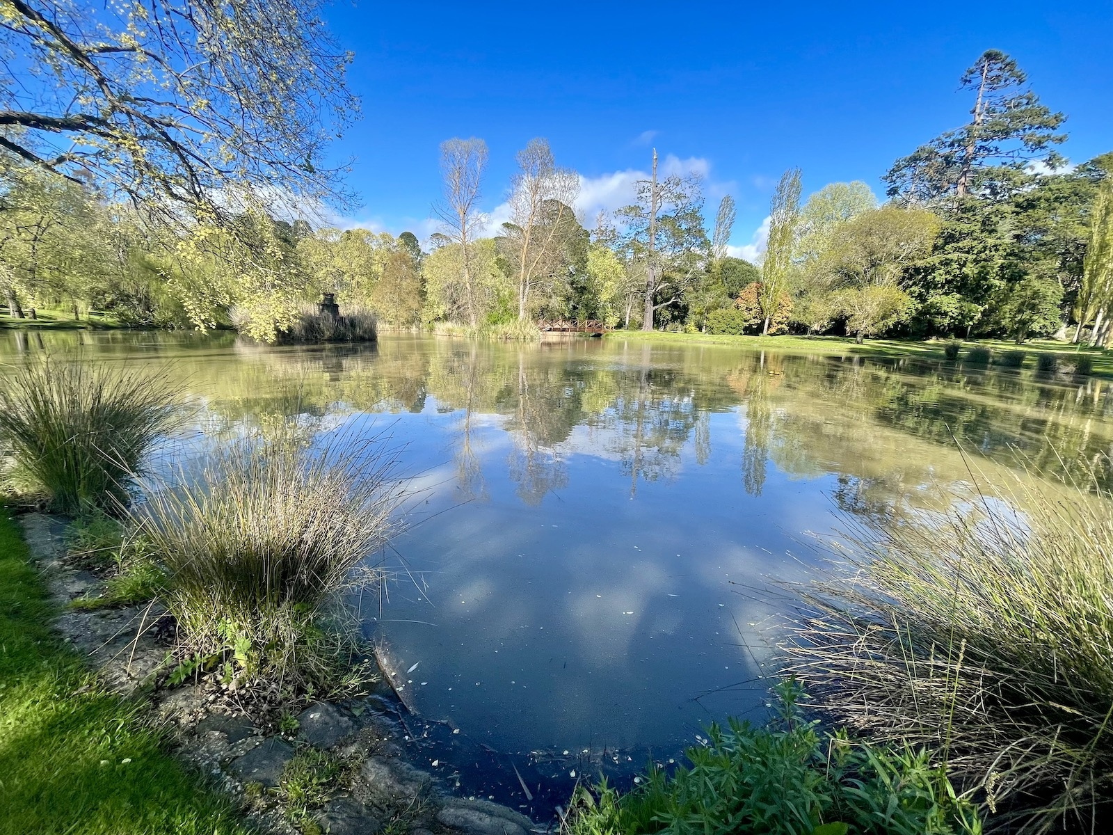 30 Ross Street, Malmsbury Sold by Melbourne Sotheby's International Realty - image 3