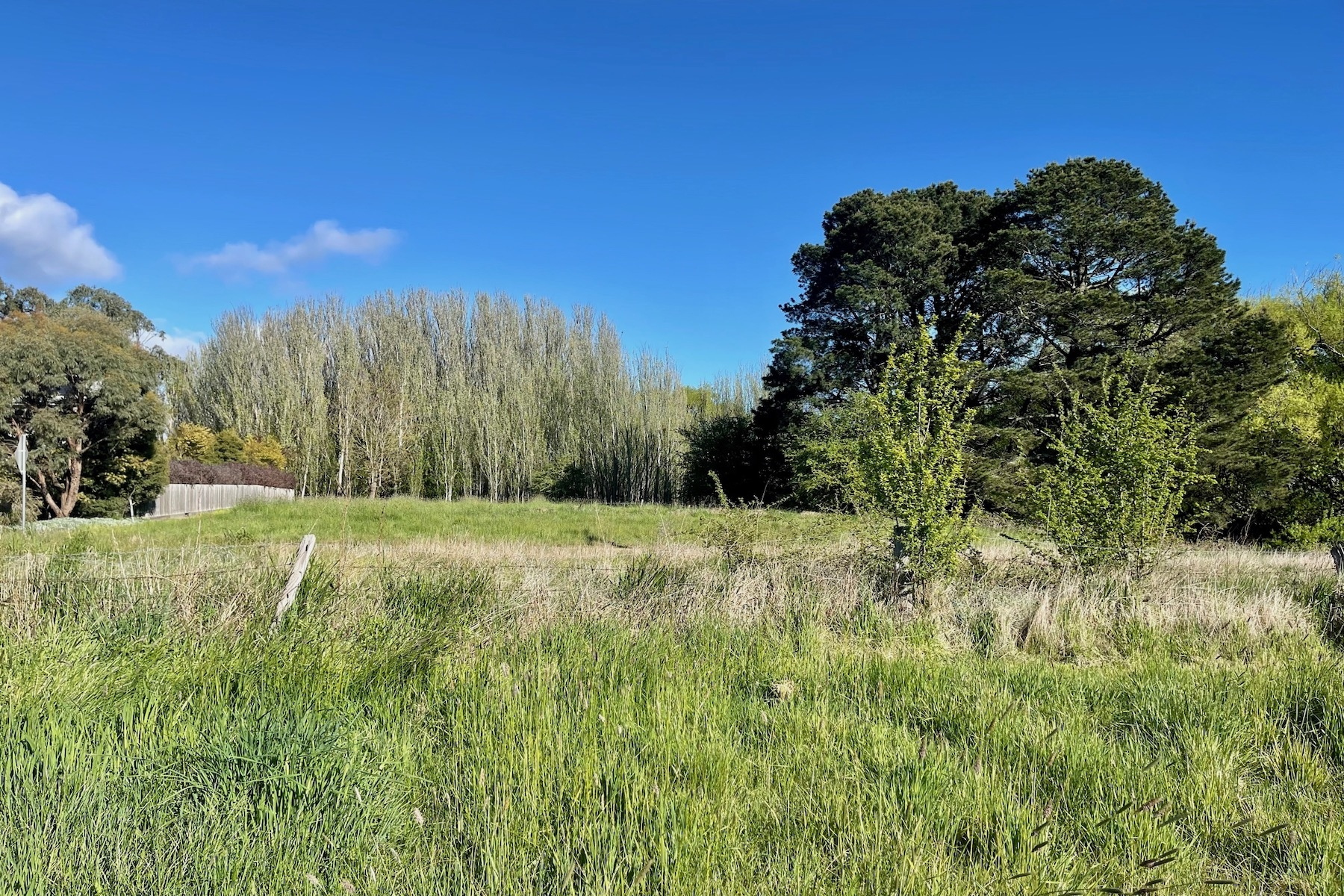 30 Ross Street, Malmsbury Sold by Melbourne Sotheby's International Realty - image 18