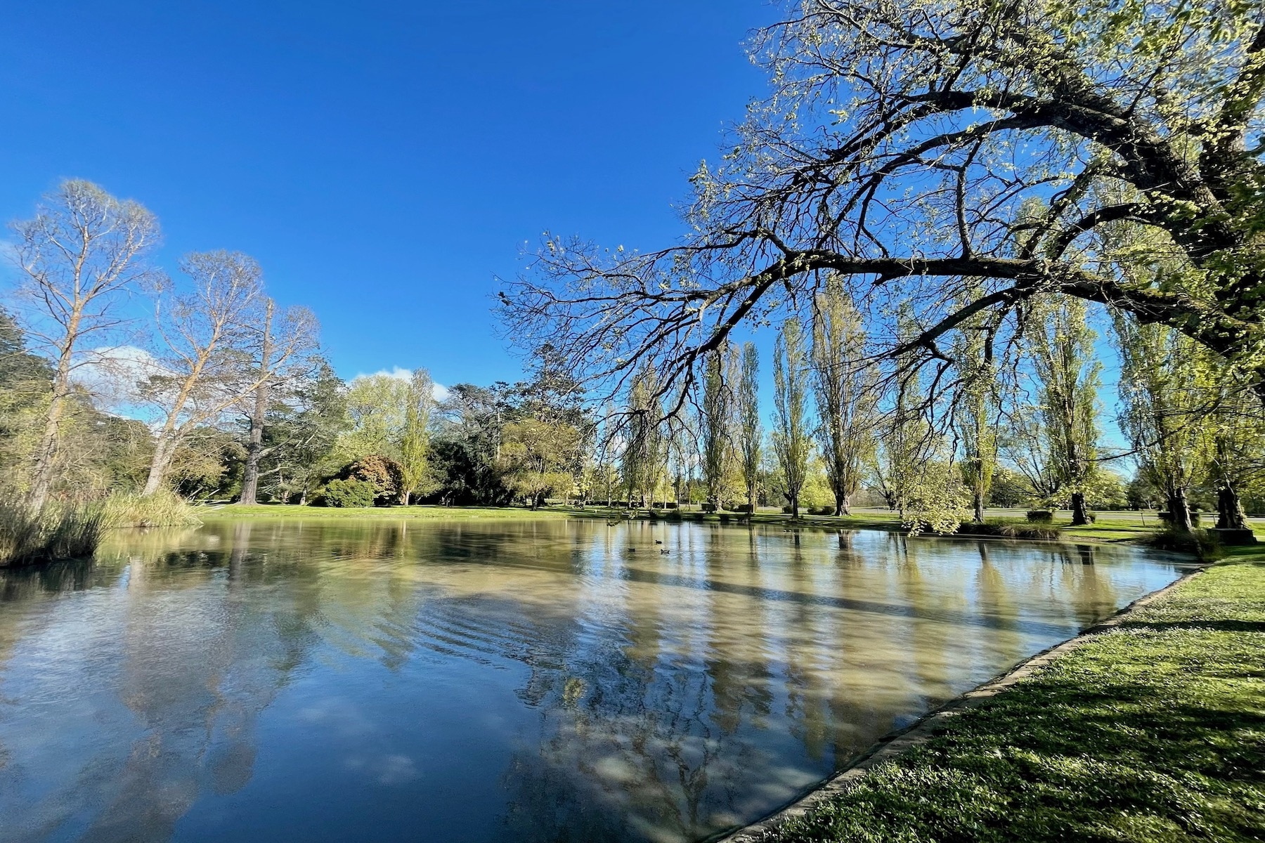 30 Ross Street, Malmsbury Sold by Melbourne Sotheby's International Realty - image 8