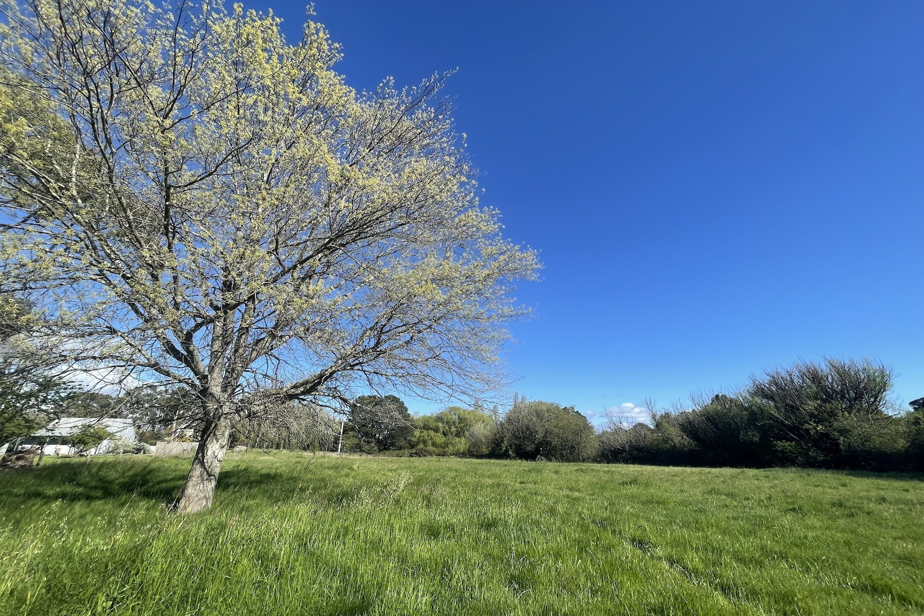 30 Ross Street, Malmsbury Sold by Melbourne Sotheby's International Realty - image 2