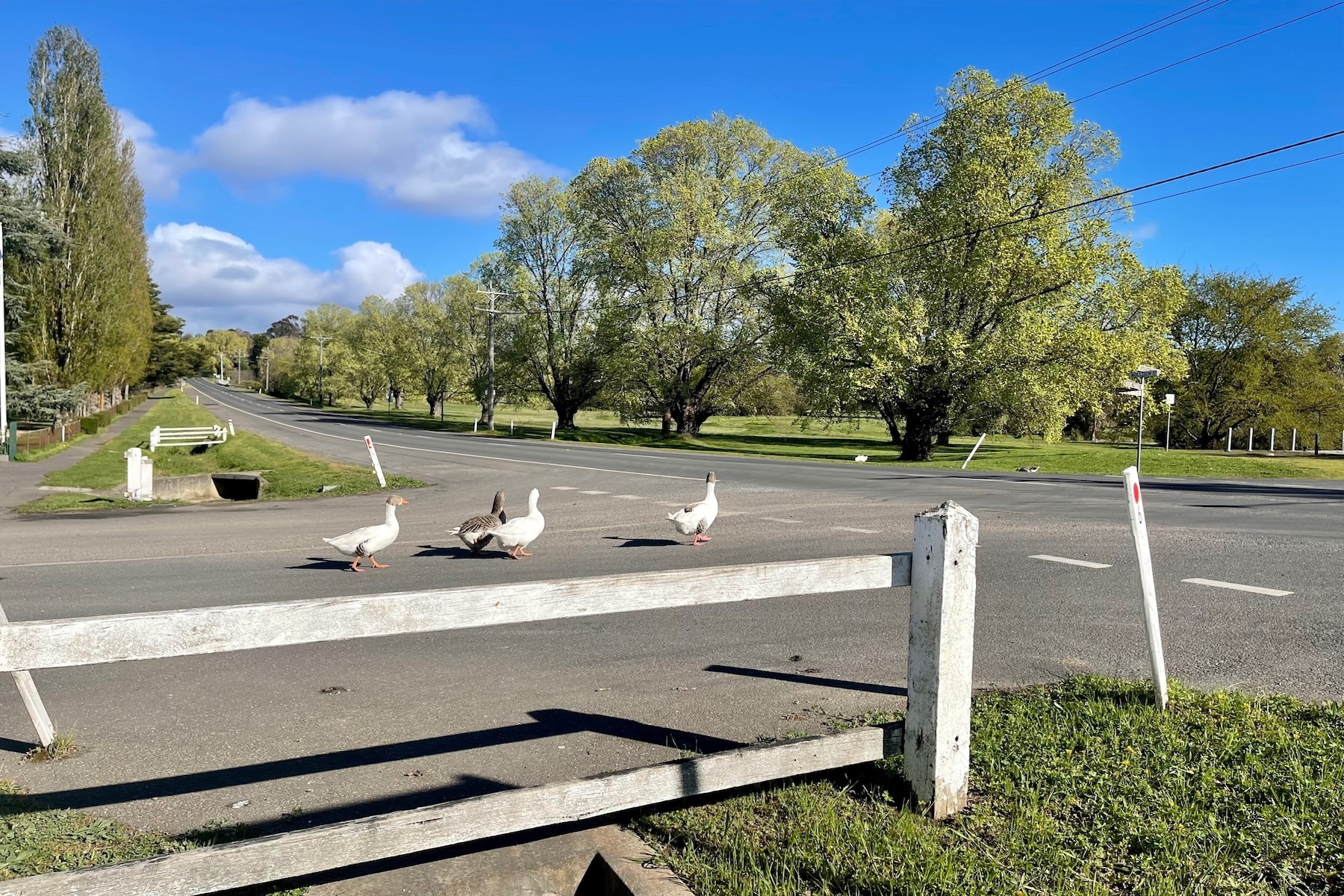 30 Ross Street, Malmsbury Sold by Melbourne Sotheby's International Realty - image 9