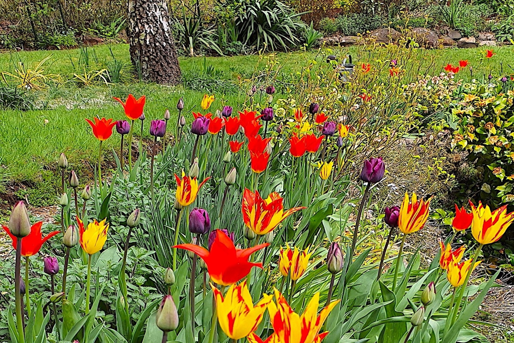 18 Falls Road, Hesket Sold by Melbourne Sotheby's International Realty - image 15