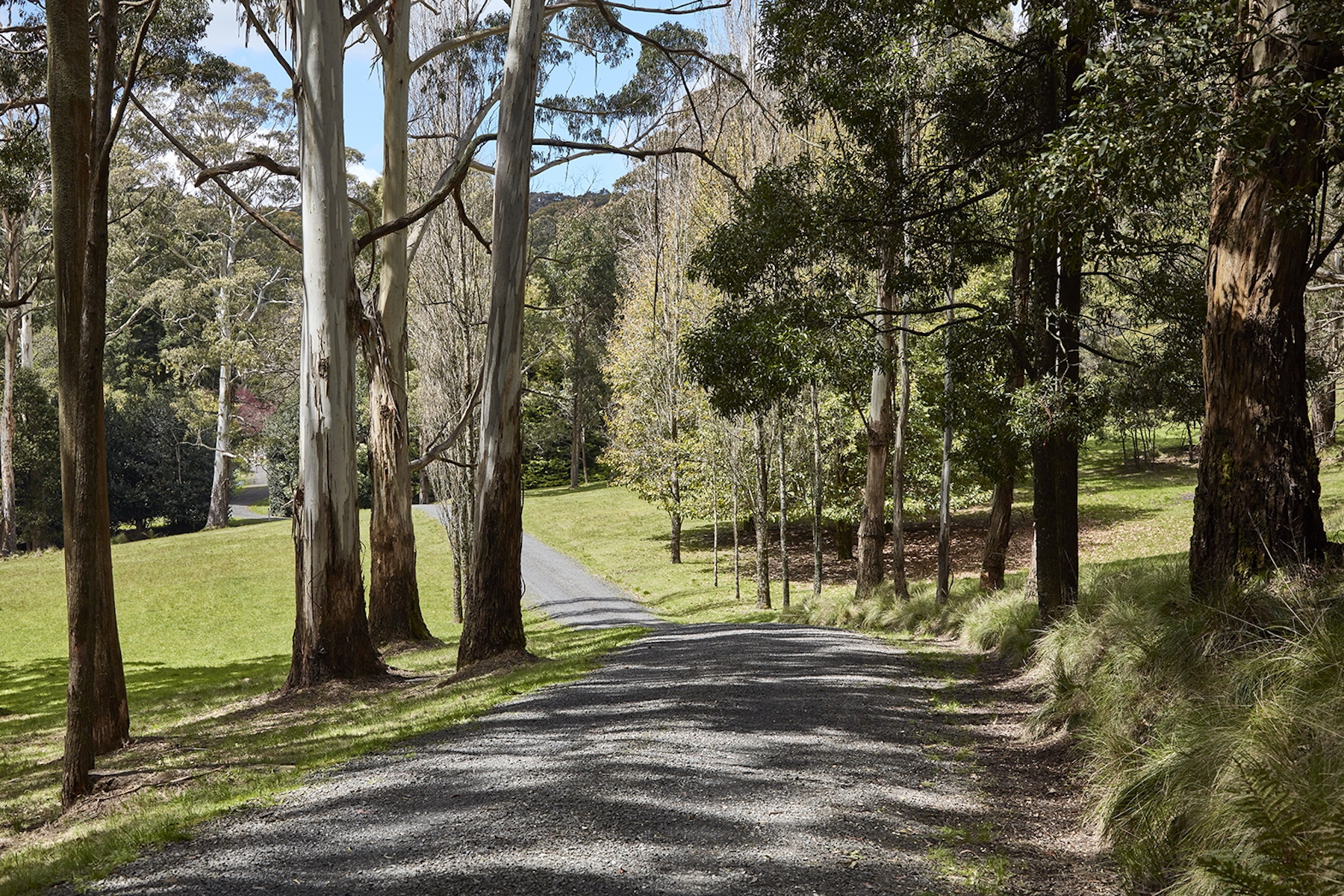 18 Falls Road, Hesket Sold by Melbourne Sotheby's International Realty - image 21