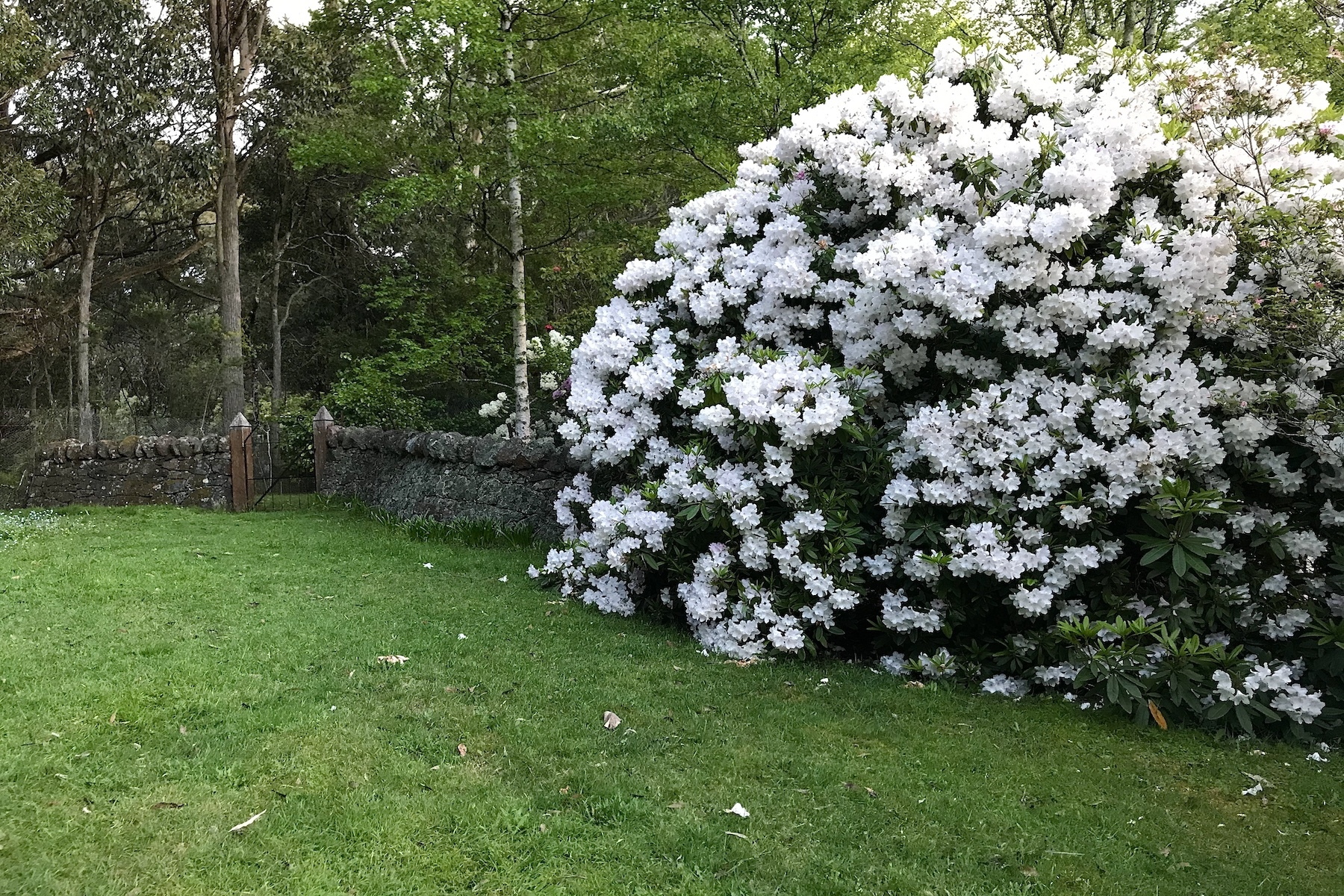 18 Falls Road, Hesket Sold by Melbourne Sotheby's International Realty - image 17