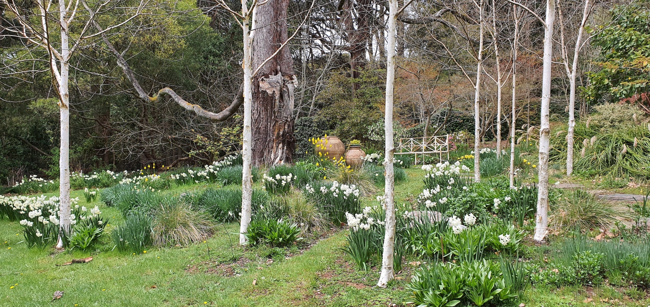 18 Falls Road, Hesket Sold by Melbourne Sotheby's International Realty - image 16
