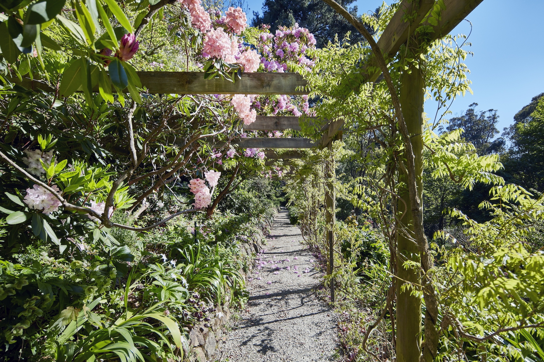 "Timsbury"/710 Mount Macedon Road, Mount Macedon Sold by Melbourne Sotheby's International Realty - image 21