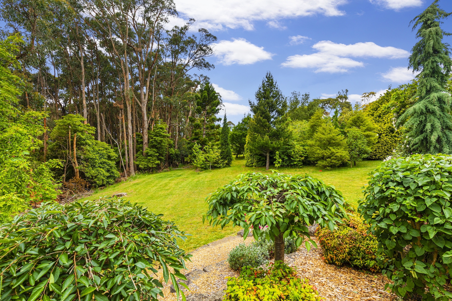 House Sold 42 Ocean View Avenue, Red Hill South