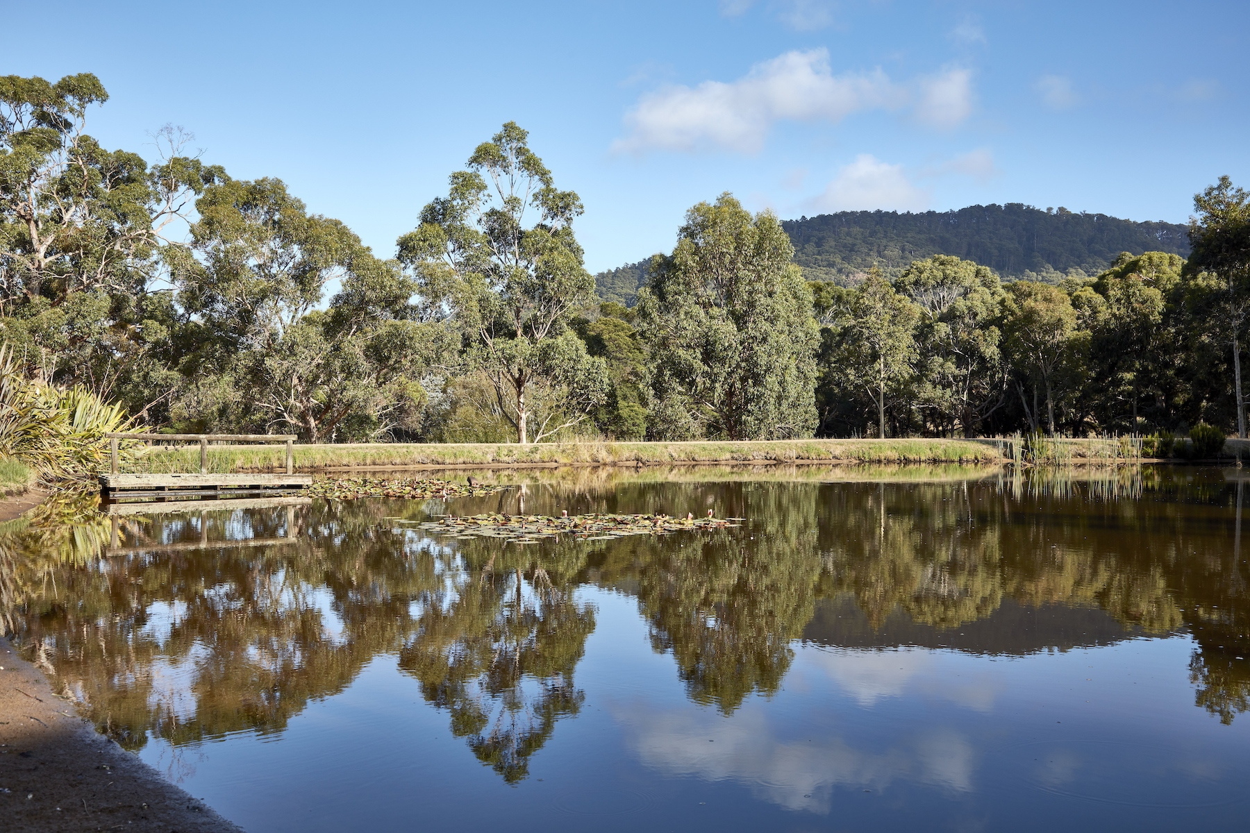 38 Glen Drouitt Road, Mount Macedon Sold by Melbourne Sotheby's International Realty - image 19