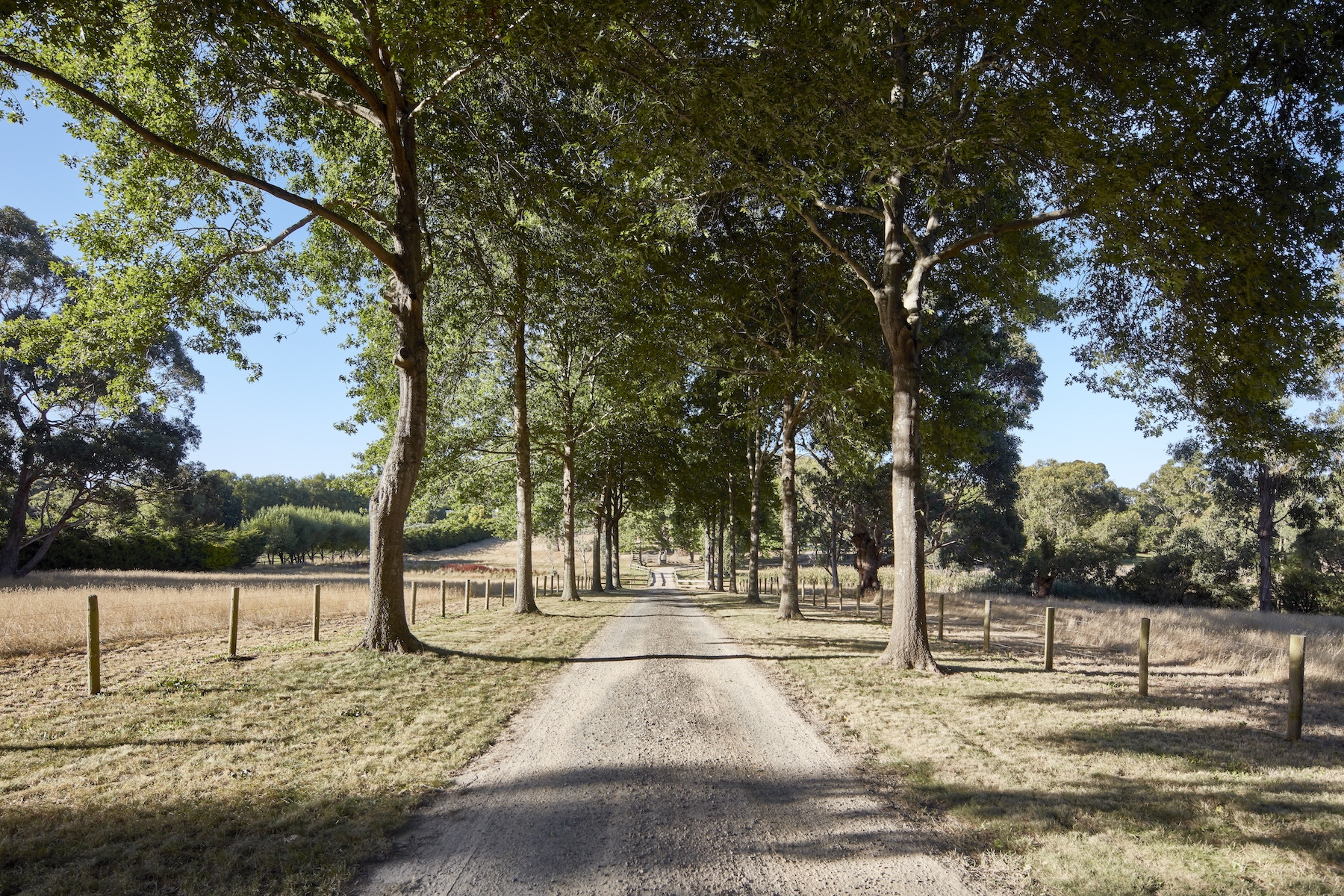 38 Glen Drouitt Road, Mount Macedon Sold by Melbourne Sotheby's International Realty - image 6