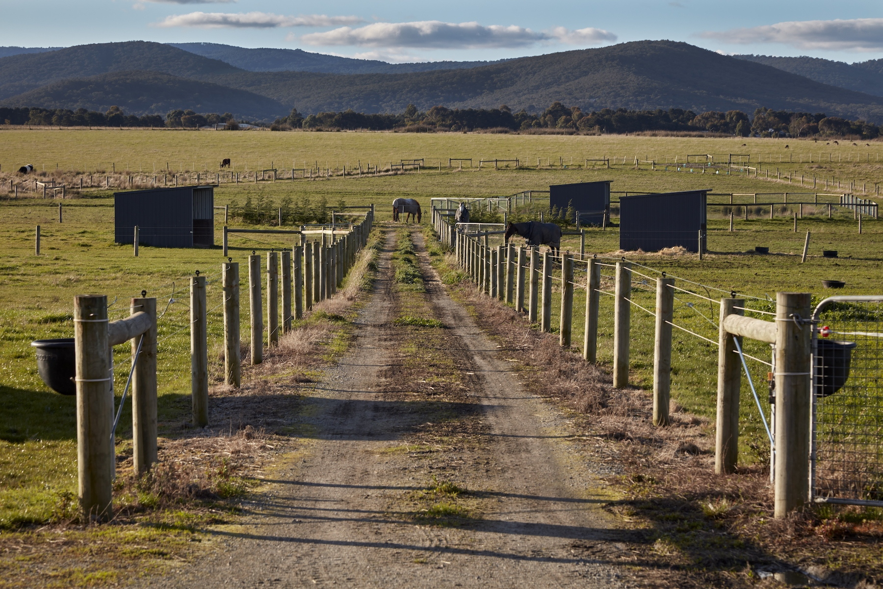 137 Murray Road, Gisborne Sold by Melbourne Sotheby's International Realty - image 17