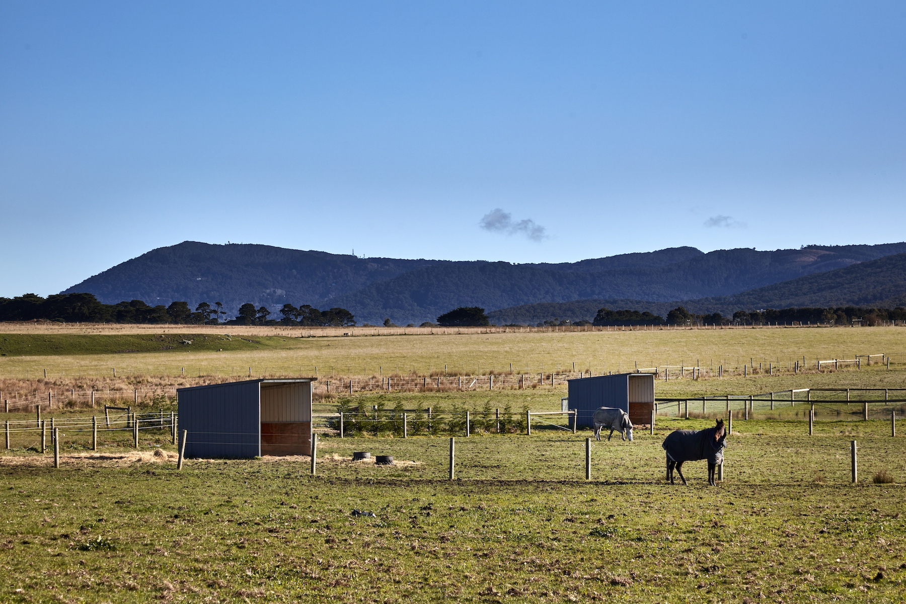 137 Murray Road, Gisborne Sold by Melbourne Sotheby's International Realty - image 16