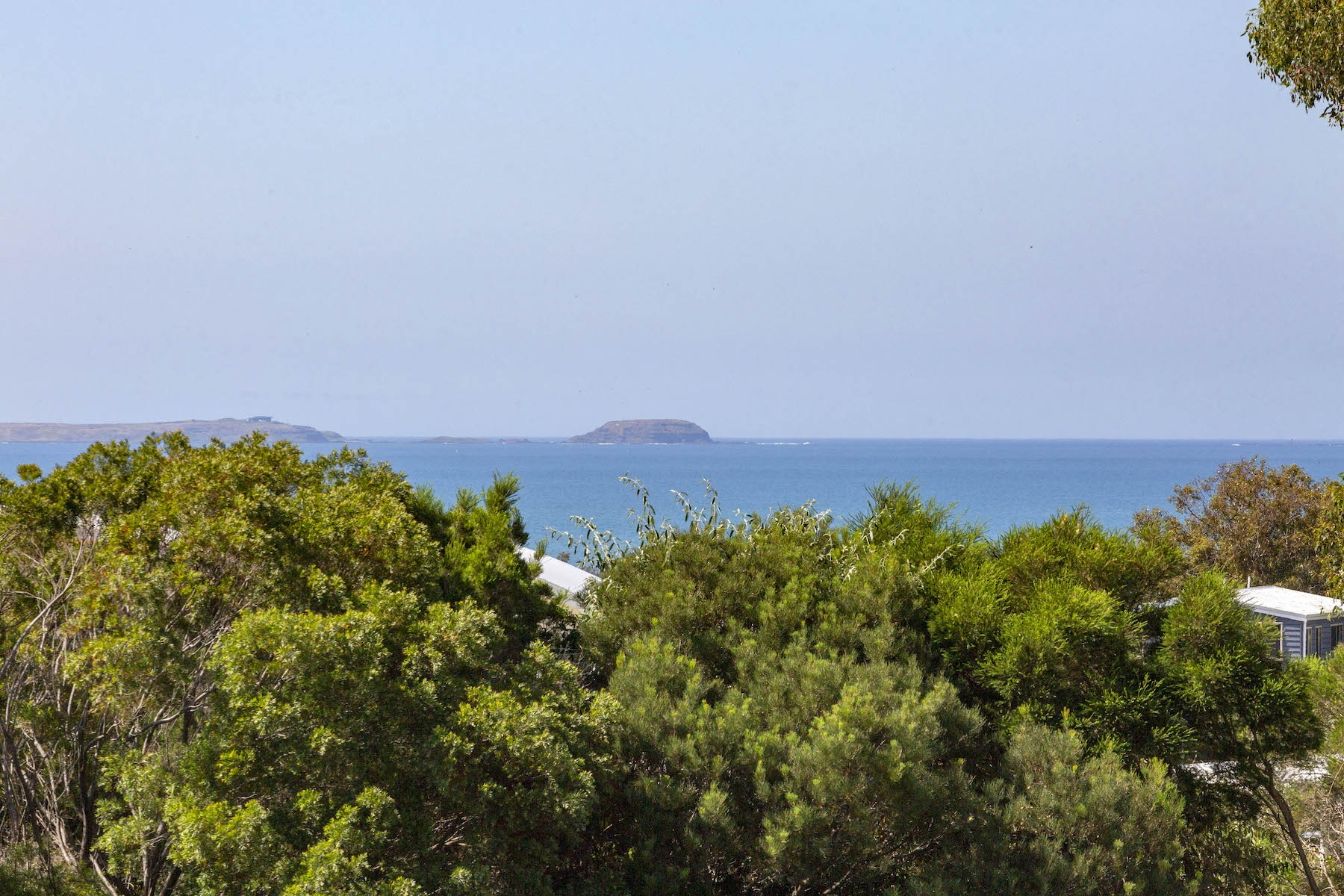 Rural For Sale 31 Seal Street, Point Leo